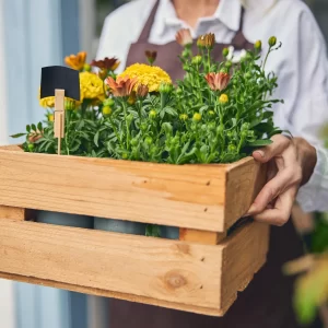 Planter boxes